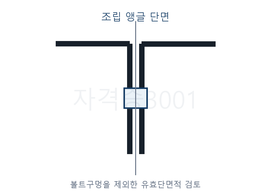 두 개의 L-50×50×6 앵글과 지름 1.7cm 볼트구멍을 표시한 조립단면 문제도