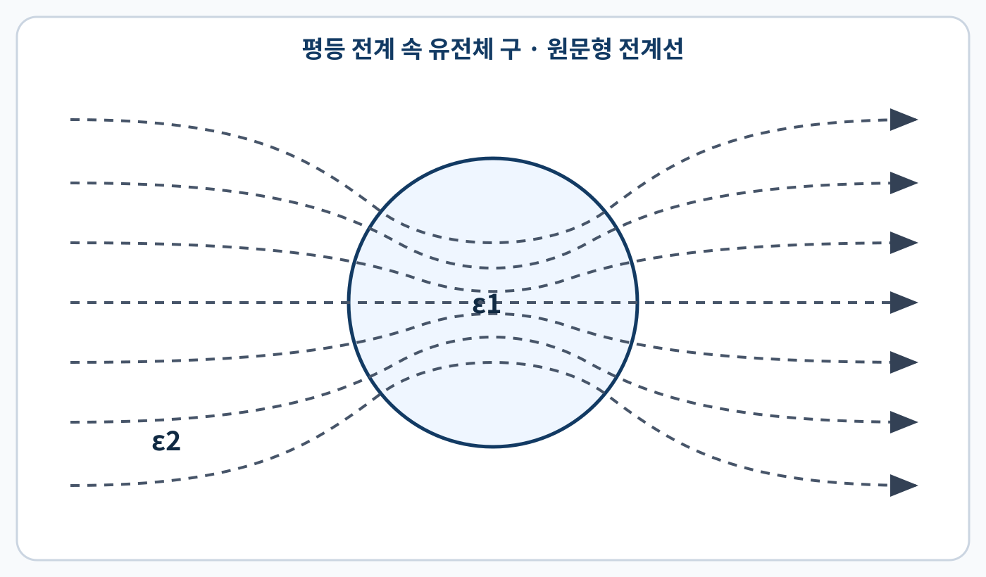 전기기사 평등 전계 속 유전체 구 주변의 전계선 분포를 나타낸 원문형 문제 도식